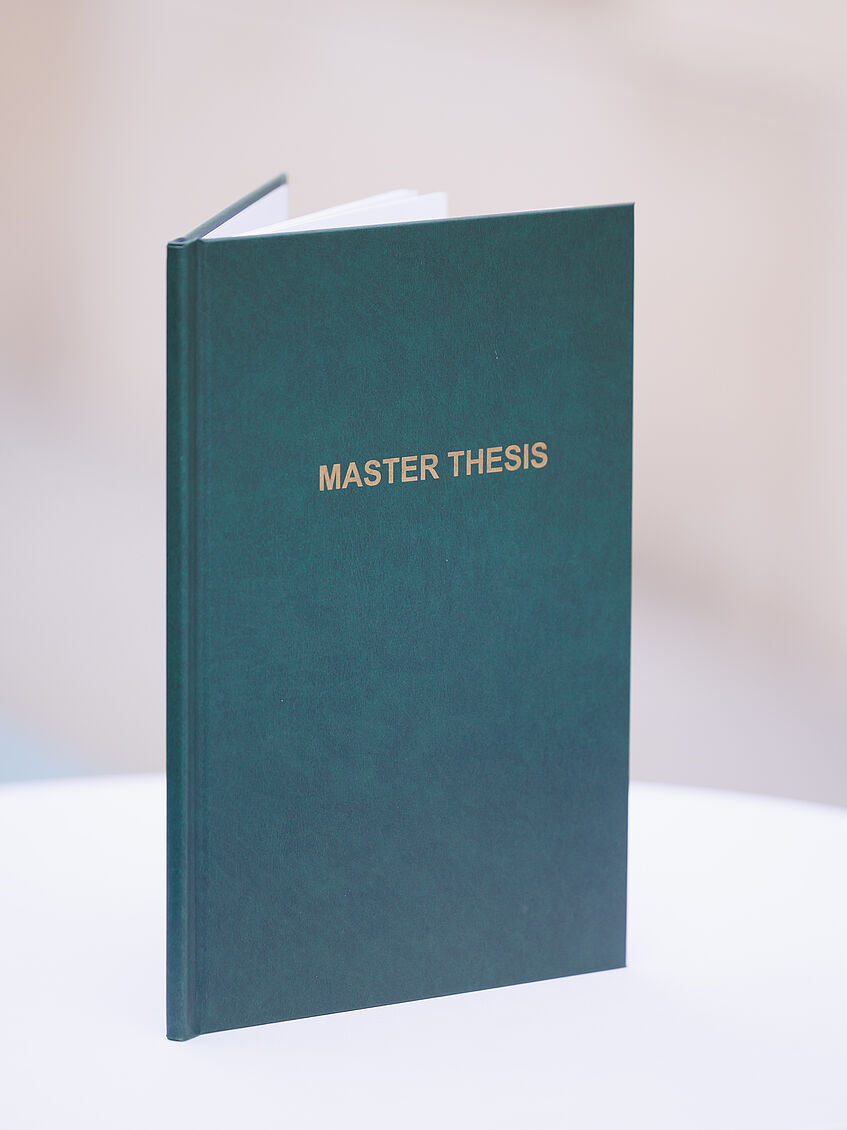 Master's Thesis (derknopfdruecker.com)